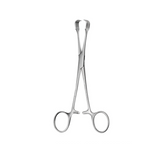 TISCO Lifecare Czerny Braun Tissue Forceps 15 CM / 6 Inch 4x4 Prong Stainless Steel Surgical Instrument