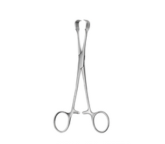TISCO Lifecare Czerny Braun Tissue Forceps 15 CM / 6 Inch 4x4 Prong Stainless Steel Surgical Instrument
