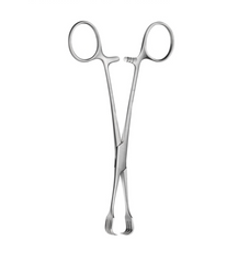 TISCO Lifecare Czerny Braun Tissue Forceps 15 CM / 6 Inch 4x4 Prong Stainless Steel Surgical Instrument