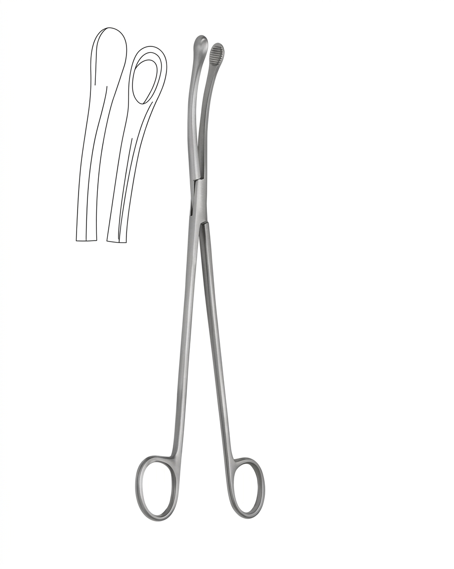 TISCO Lifecare Ovum Forceps Curved Cup 25cm (10 Inch) No. 4 Stainless Steel Surgical Instrument for Gynecological Use