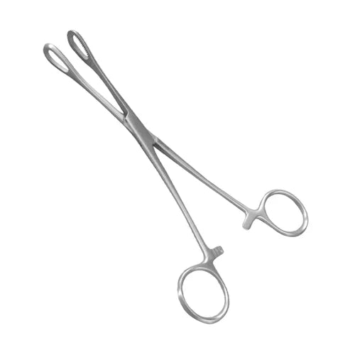 Sponge Holding Forceps Stainless Steel (6″, 8″, 10″ | Standard, Small Jaws, Narrow Tip)